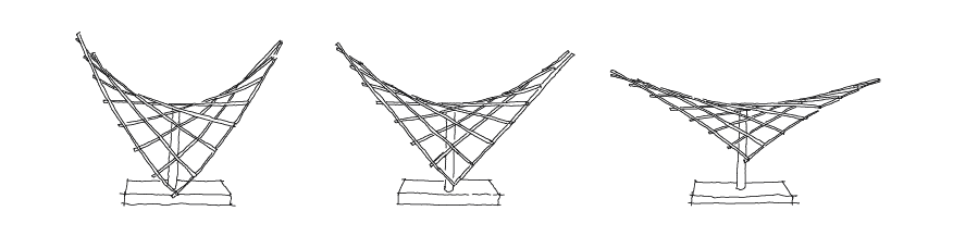 Early concept sketches — three asymptotic gridshell variations on a base plate